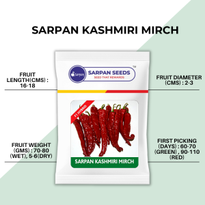 Sarpan Kashmiri Mirch Seeds | F1 Hybrid | Buy Online at Best Price