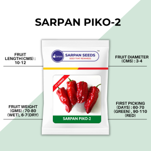 Sarpan Piko - 2 Chilli Seeds | F1 Hybrid | Buy Online at Best Price