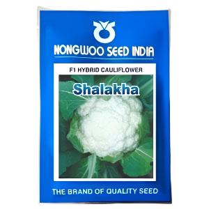 Shalakha Cauliflower Seeds - Nongwoo | F1 Hybrid | Buy Online at Best Price