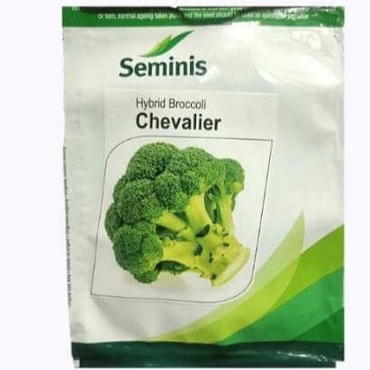 Chevalier Broccoli Seeds - Seminis | F1 Hybrid | Buy Online Now