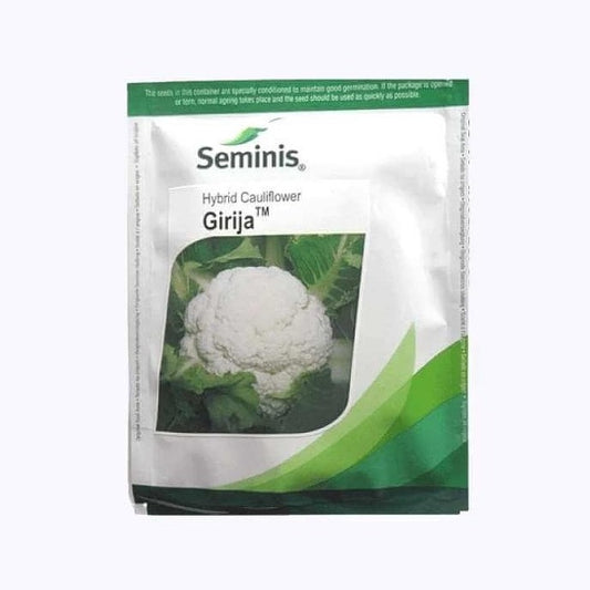 Girija Cauliflower Seeds - Seminis | F1 Hybrid | Buy Online Now