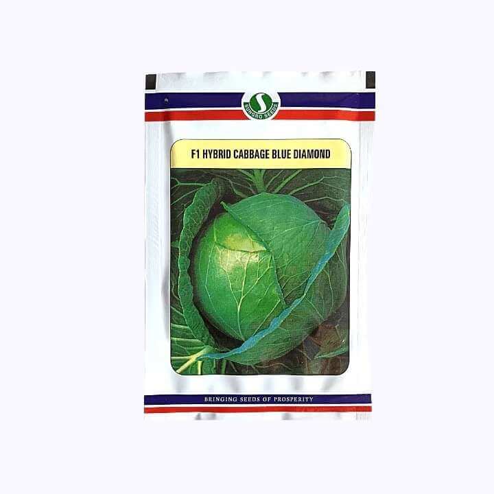 Blue Diamond Cabbage Seeds - Sungro | F1 Hybrid | Buy Online at Best Price