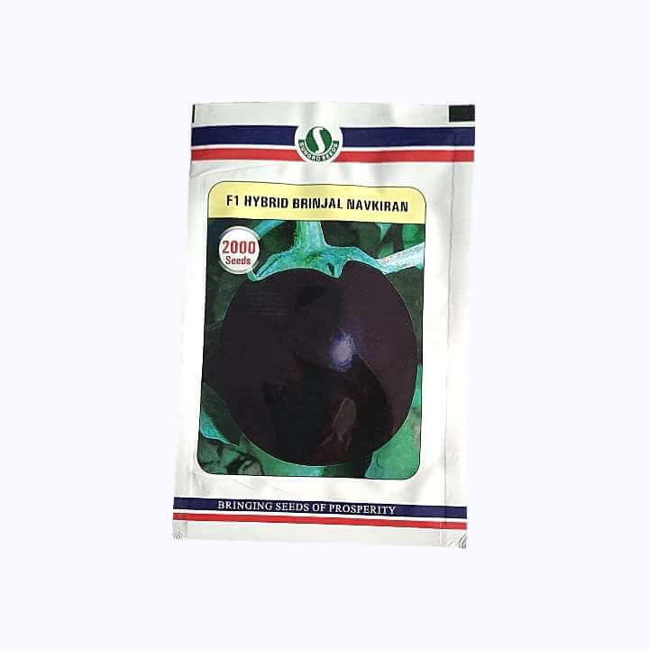 Navkiran Brinjal Seeds - Sungro | F1 Hybrid | Buy Online at Best Price