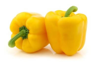 Indus 1504 Yellow Capsicum Seeds | F1 Hybrid | Buy Online at Best Price