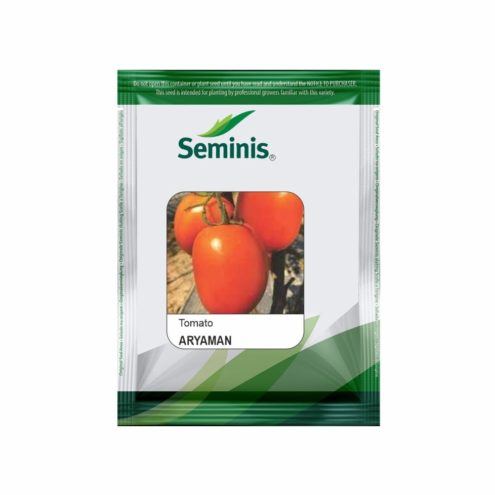 Aryaman Tomato Seeds - Seminis | F1 Hybrid | Buy Online at Best Price