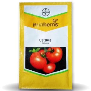 US 2048 Tomato Seeds - Nunhems | F1 Hybrid | Buy Online at Best Price