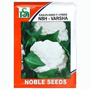 NBH - Varsha Cauliflower Seeds - Noble | F1 Hybrid | Buy Online at Best Price