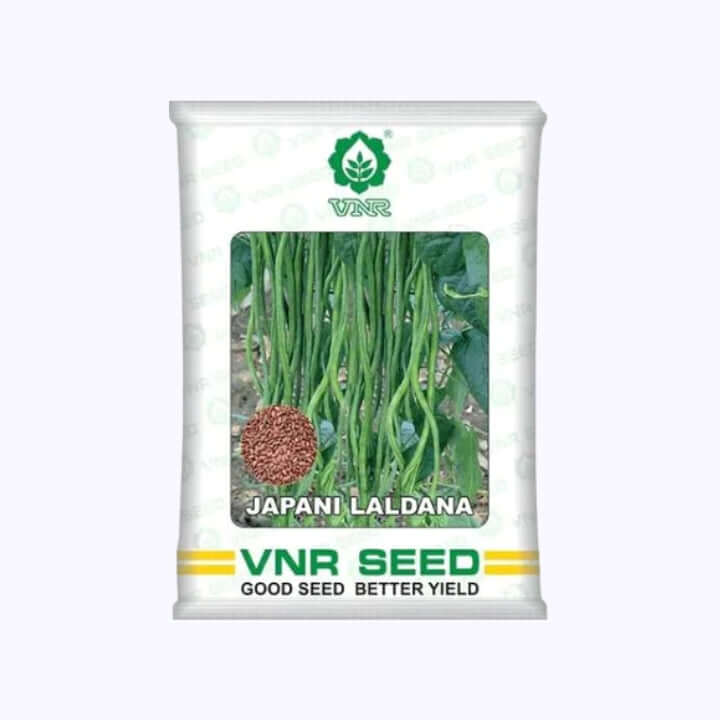 Japani Laldana Cowpea Seeds - VNR | F1 Hybrid | Buy Online at Best Price