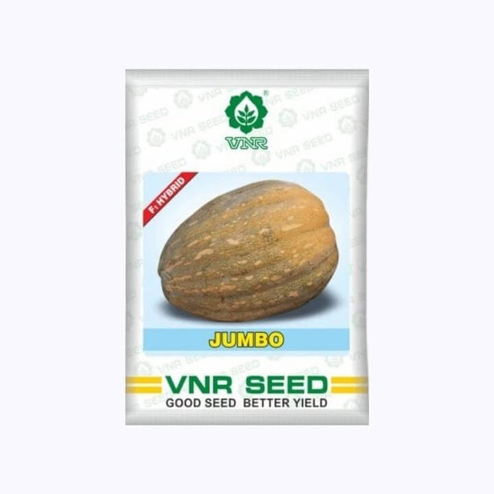 Jumbo Pumpkin Seeds - VNR | F1 Hybrid | Buy Online at Best Price