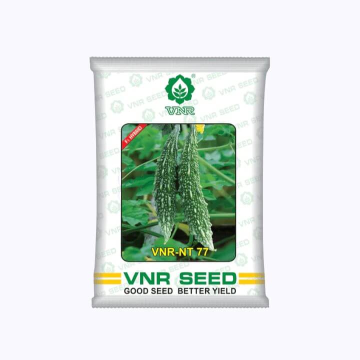 VNR NT 77 Bitter Gourd Seeds | F1 Hybrid | Buy Online at Best Price