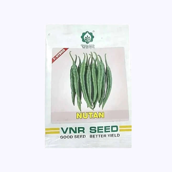 Nutan Chilli Seeds - VNR | F1 Hybrid | Buy Online at Best Price