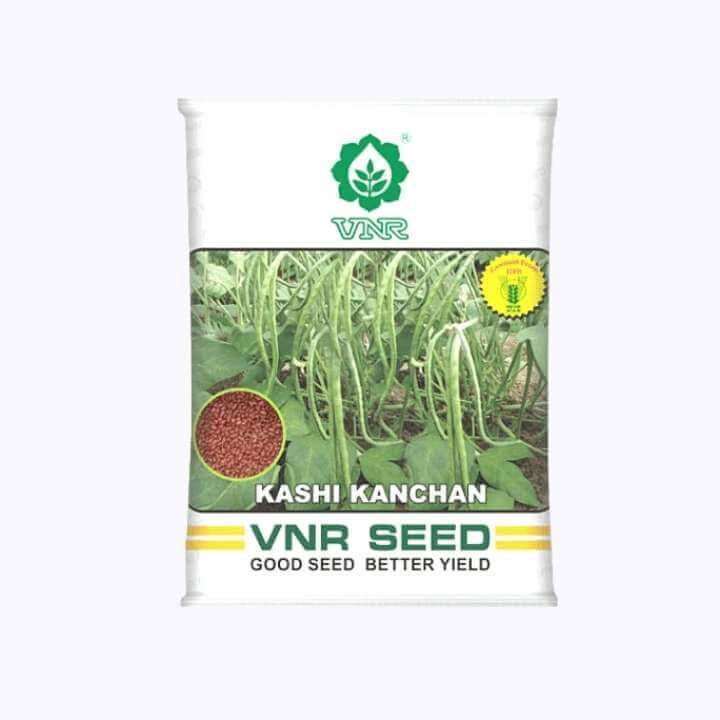 Kashi Kanchan Cowpea Seeds -VNR | F1 Hybrid | Buy Online at Best Price