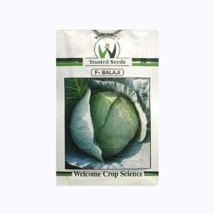 Balaji Cabbage Seeds - Welcome | F1 Hybrid | Buy Online at Best Price