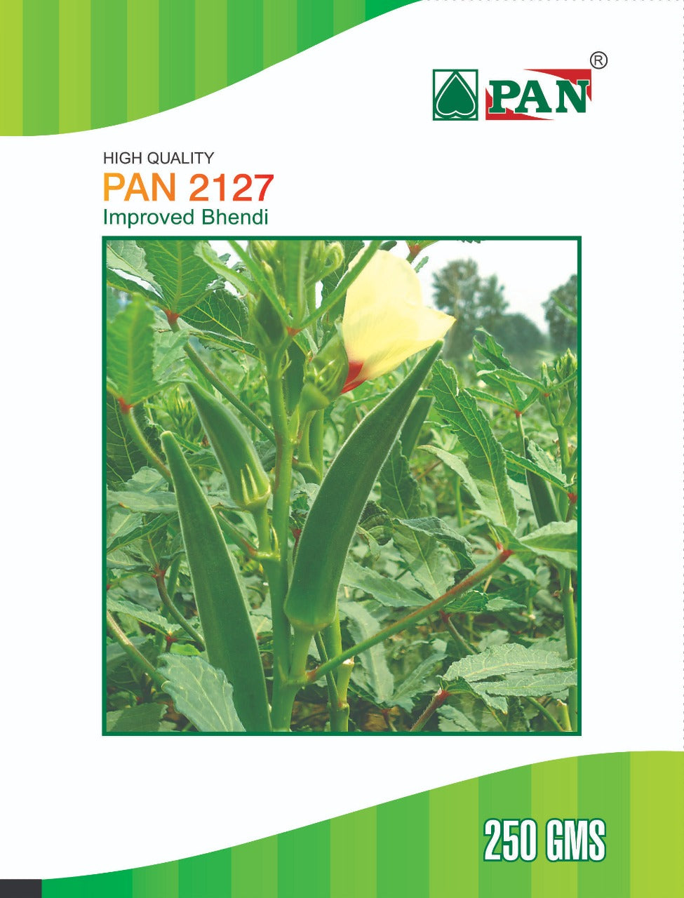 Pan 2127 Bhendi Seeds | F1 Hybrid | Buy Online at Best Price