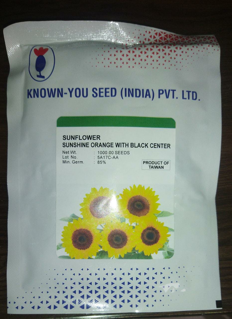 Ornamental Sunflower Sunshine seeds - Known You | F1 Hybrid | Buy Online at Best Price