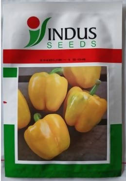 Indus 1504 Yellow Capsicum Seeds | F1 Hybrid | Buy Online at Best Price