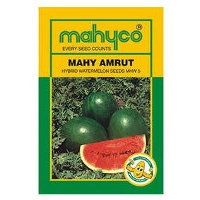 MAHY Amrut Watermelon Seeds - Mahyco | F1 Hybrid | Buy Online Now