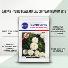 Sarpan Chrysanthemum Seeds | F1 Hybrid | Buy Online at Best Price