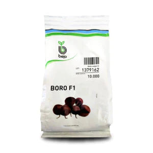 Boro Beetroot Seeds - Bejo | F1 Hybrid | Buy Online at Best Price