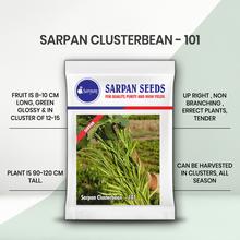 Sarpan - 101 Cluster Beans Seeds | F1 Hybrid | Buy Online at Best Price