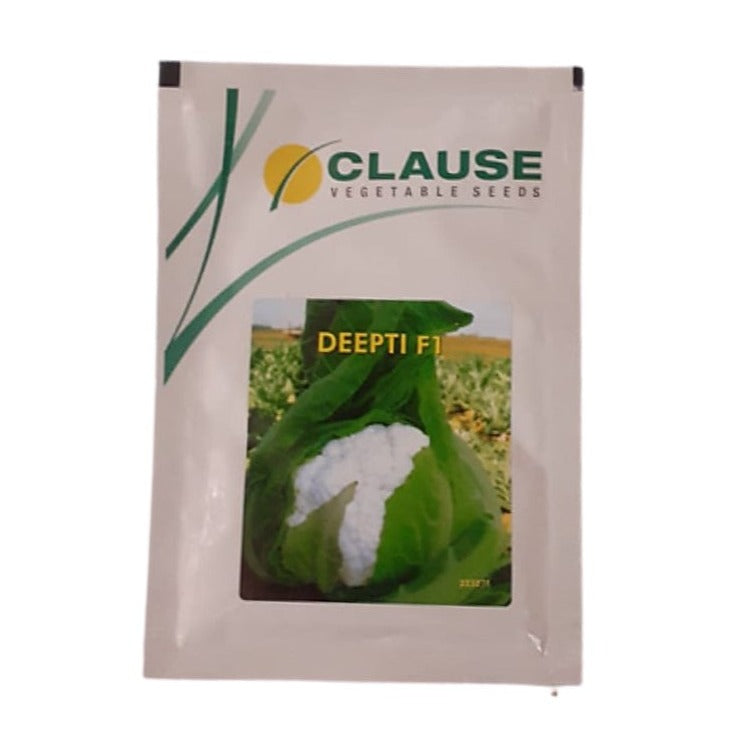 Deepti Cauliflower Seeds - HM Clause | F1 Hybrid | Buy Online Now