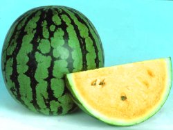 Devyani Watermelon Seeds - Known You | F1 Hybrid | Buy Online at Best Price