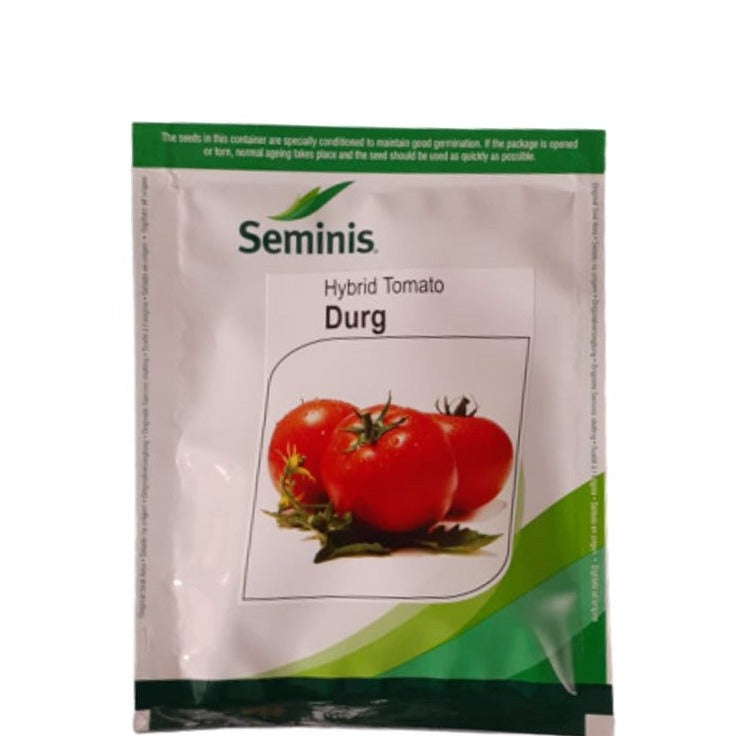 Durg Tomato Seeds - Seminis | F1 Hybris | Buy Online at Best Price