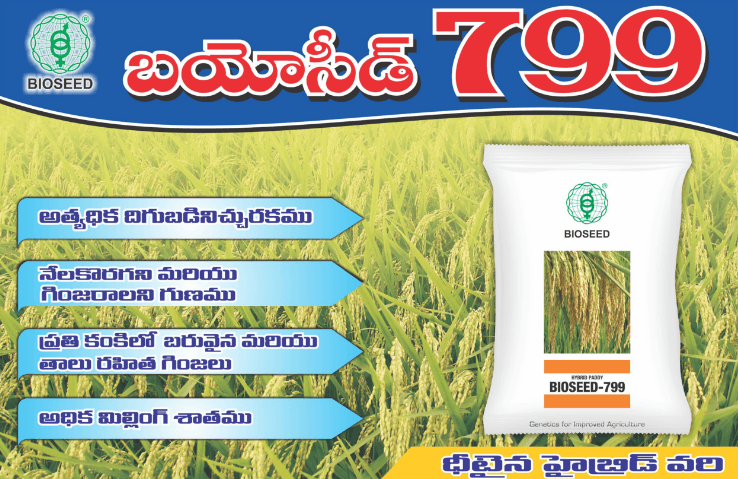 Bioseed 799 Paddy Seeds | F1 Hybrid | Buy Online at Best Price