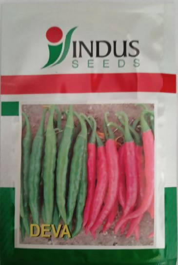 Indus Deva Chilli Seeds | F1 Hybrid | Buy Online at Best Price