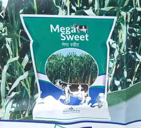 Mega Sweet Forage Seeds - Advanta | F1 Hybrid | Buy Online at Best Price