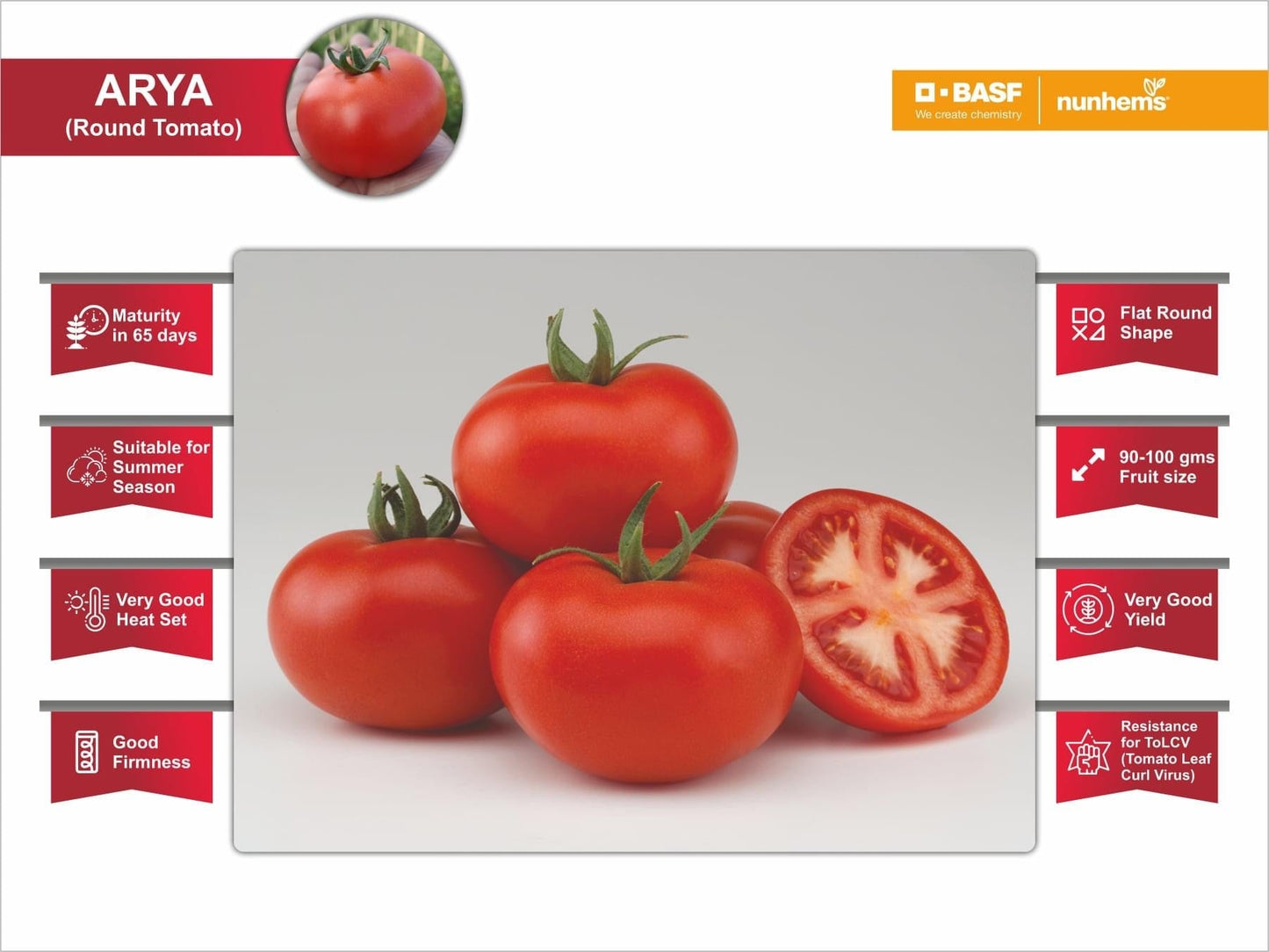 Arya Tomato Seeds - Nunhems | F1 Hybrid | Buy Online at Best Price