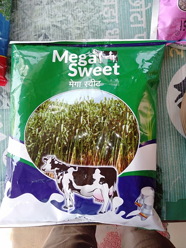 Mega Sweet Forage Seeds - Advanta | F1 Hybrid | Buy Online at Best Price