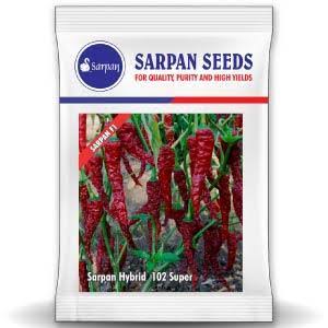 Sarpan Super Chilli seeds | F1 Hybrid | Buy Online at Best Price