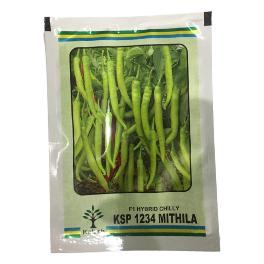 KSP 1234 Mithila Chilli Seeds - Kalash | F1 Hybrid | Buy at Best Price