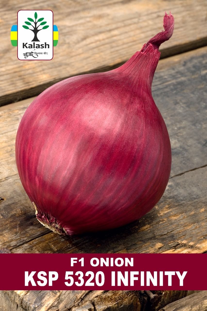 KSP 5320 " Infinity" Onion Seeds - Kalash | F1 Hybrid | Buy Online at Best Price