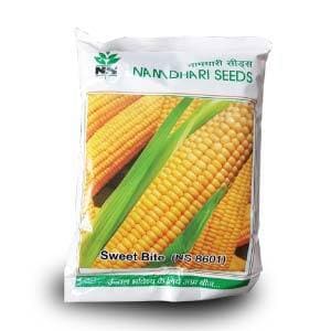 NS 8601 Sweet Corn Seeds - Namdhari | F1 Hybrid | Buy Online Now