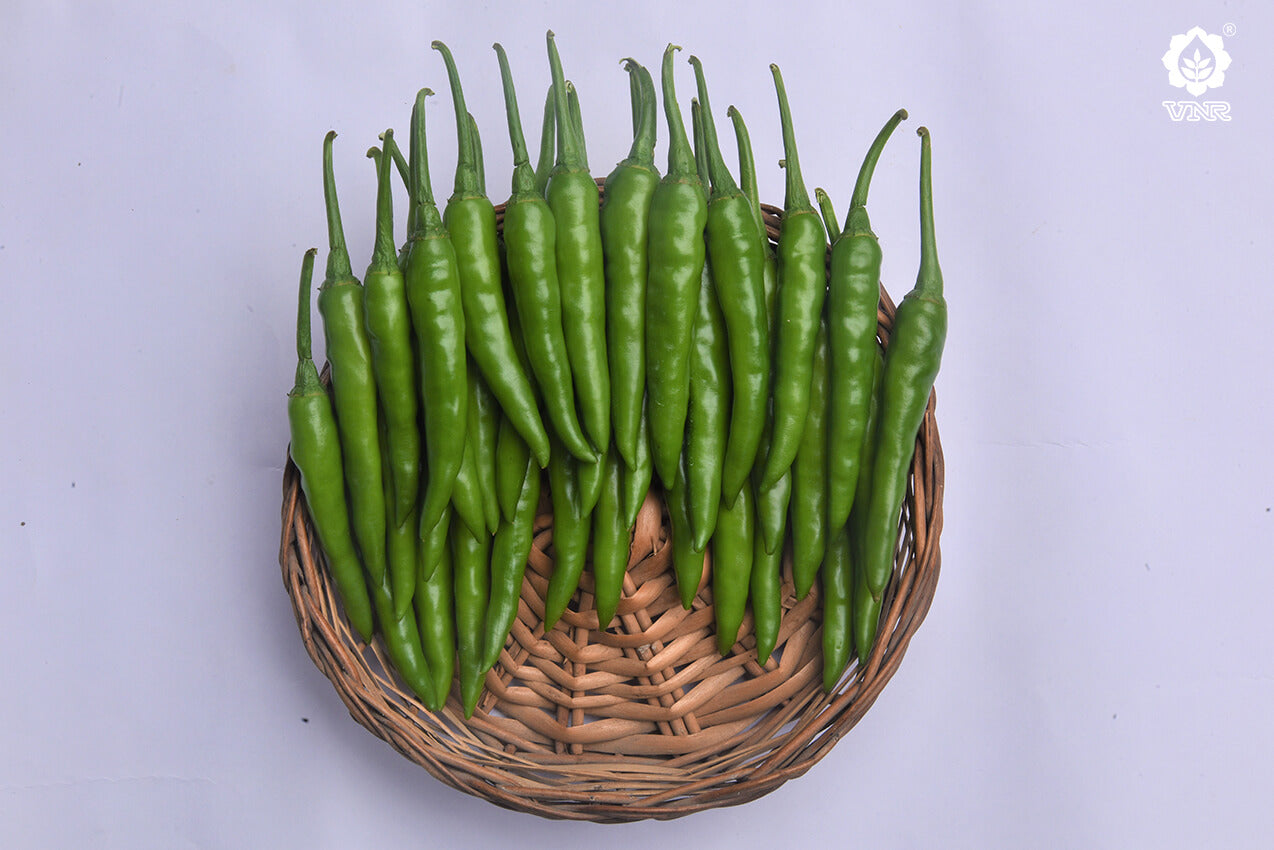 Nupur Chilli Seeds - VNR | F1 Hybrid | Buy Online at Best Price