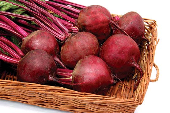 Indam Ruby Queen Beetroot Seeds - Indo American | F1 Hybrid | Buy Now