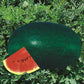 MAHY Santrupti Watermelon Seeds | F1 Hybrid | Buy Online at Best Price