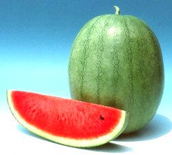 Saraswathi Watermelon Seeds - Known You | F1 Hybrid | Buy Online at Best Price