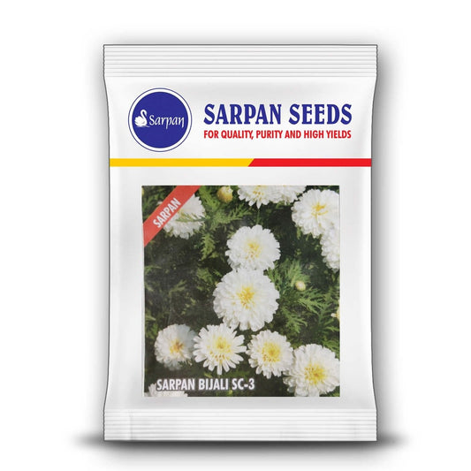 Sarpan SC - 3  Bijali Seeds | F1 Hybrid | Buy Online at Best Price