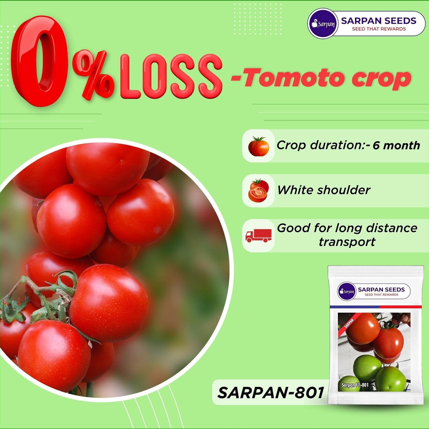 Sarpan - 801 Tomato Seeds | F1 Hybrid | Buy Online at Best Price