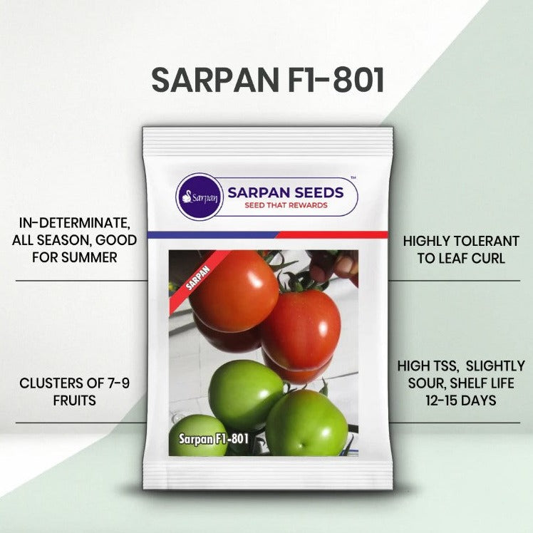 Sarpan - 801 Tomato Seeds | F1 Hybrid | Buy Online at Best Price