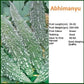 Abhimanyu Bitter Gourd Seeds - Bioseed | F1 Hybrid | Buy Online at Best Price