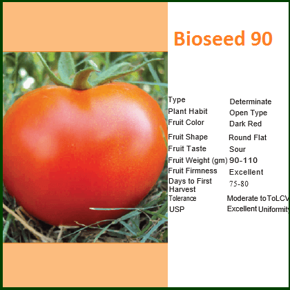 Bioseed 90 Tomato Seeds - Bioseed | F1 Hybrid | Buy Online at Best Price