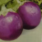 ndam Supriya Brinjal Seeds - Indo American | F1 Hybrid | Buy Online at Best Price