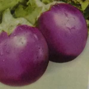 ndam Supriya Brinjal Seeds - Indo American | F1 Hybrid | Buy Online at Best Price