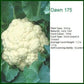 Dawn 175 Cauliflower Seeds - Seminis | F1 Hybrid | Buy Online Now