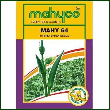 MAHY No. 64 Bhendi seeds - Mahyco | F1 Hybrid | Buy Online at Best Price