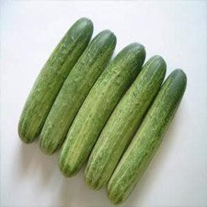 NS 404 Cucumber Seeds - Namdhari | F1 Hybrid | Buy Online at Best Price